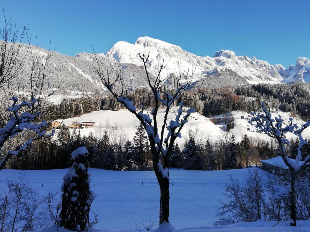 Ferienwohnung Wohlesser Annaberg im Lammertal Exteriör bild